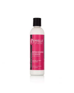 Detangling Co Wash